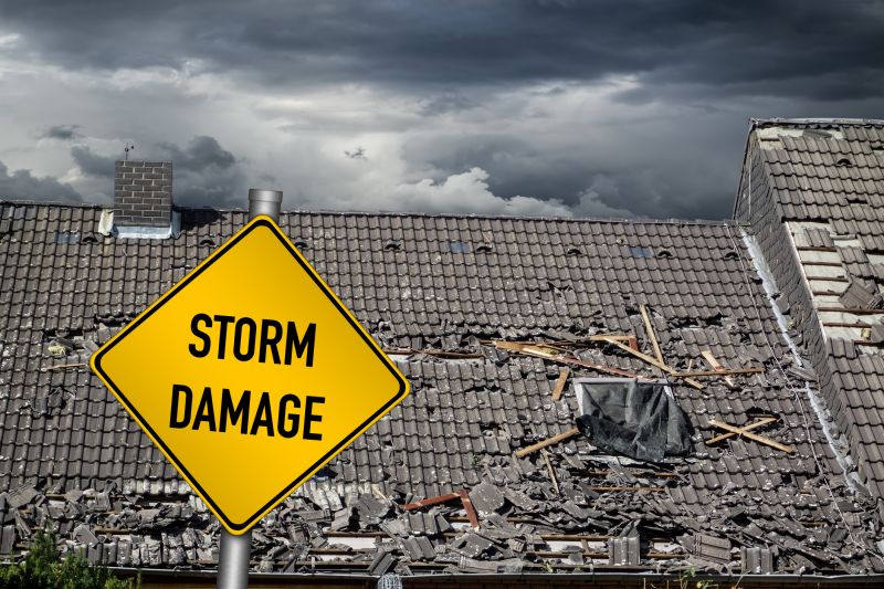 Storm Damage Repair Professionals