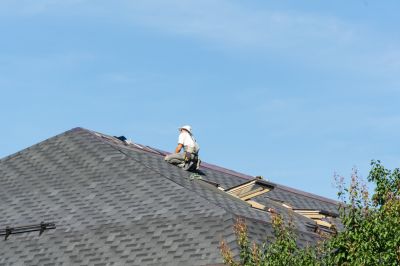 Qualified Roof Repair Specialist